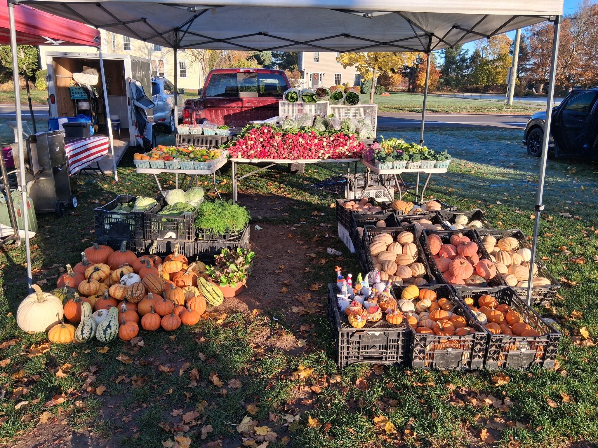 Ellington Farmers' Market