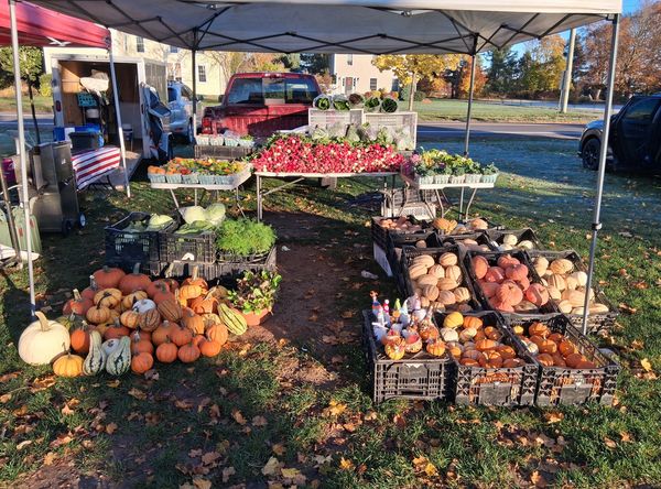 Ellington Farmers' Market