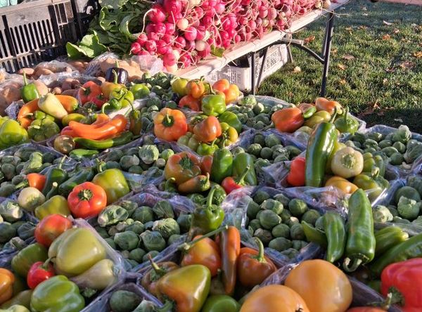 Ellington Farmers' Market