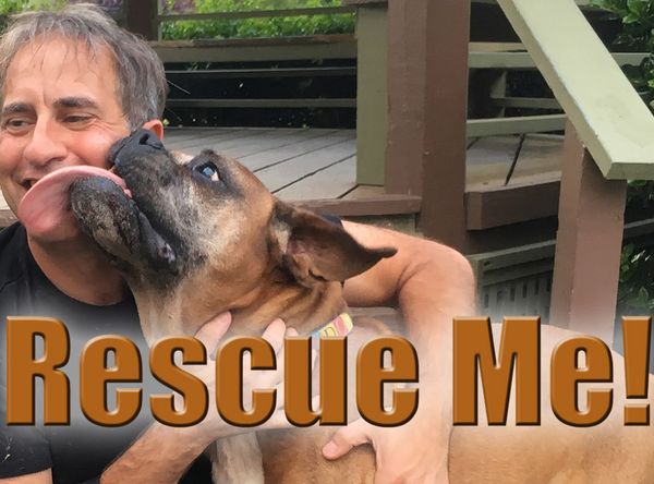 Rescue Me!