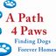 A Path 4 Paws Dog Rescue