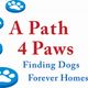 A Path 4 Paws Dog Rescue