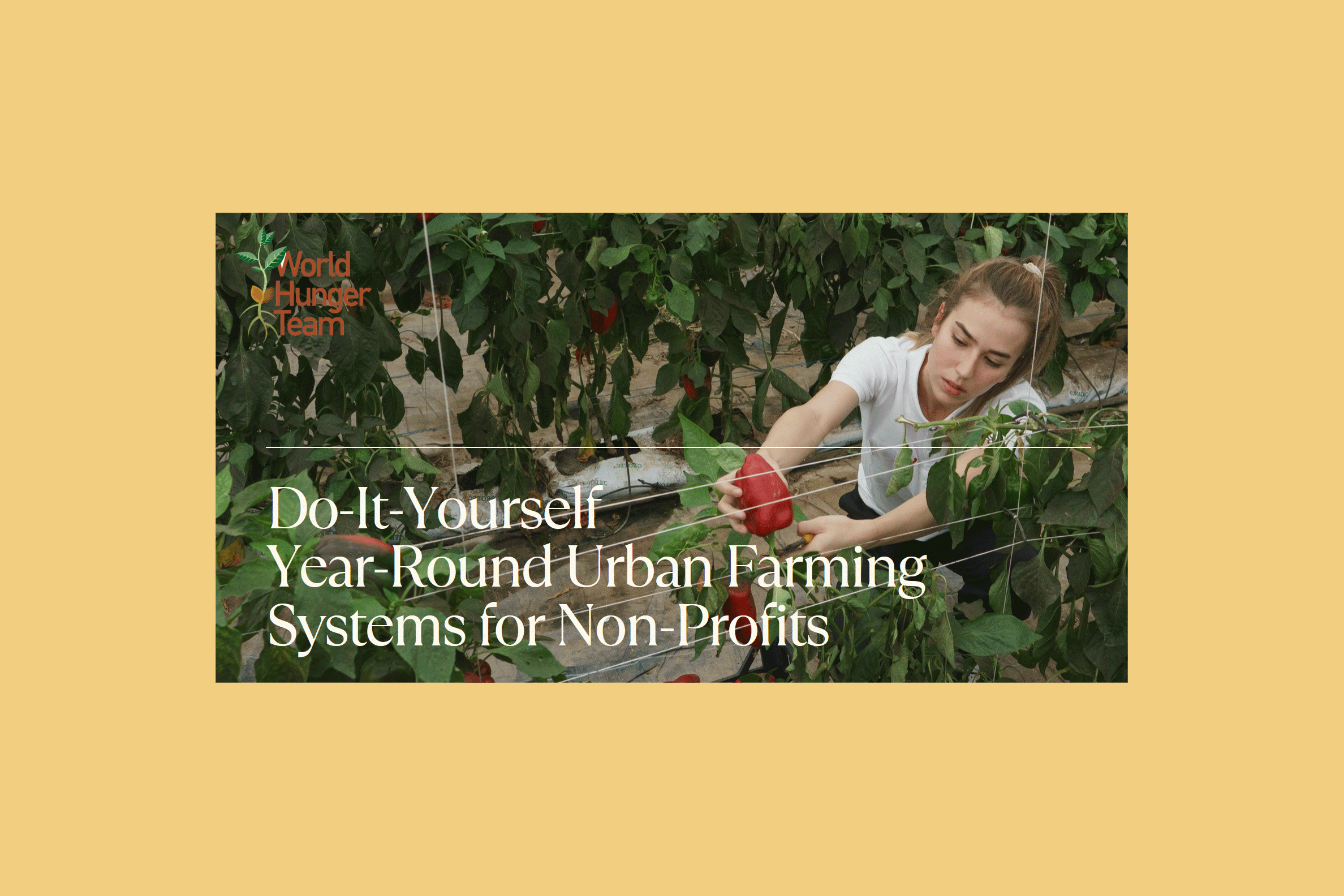 World Hunger Team, Inc.