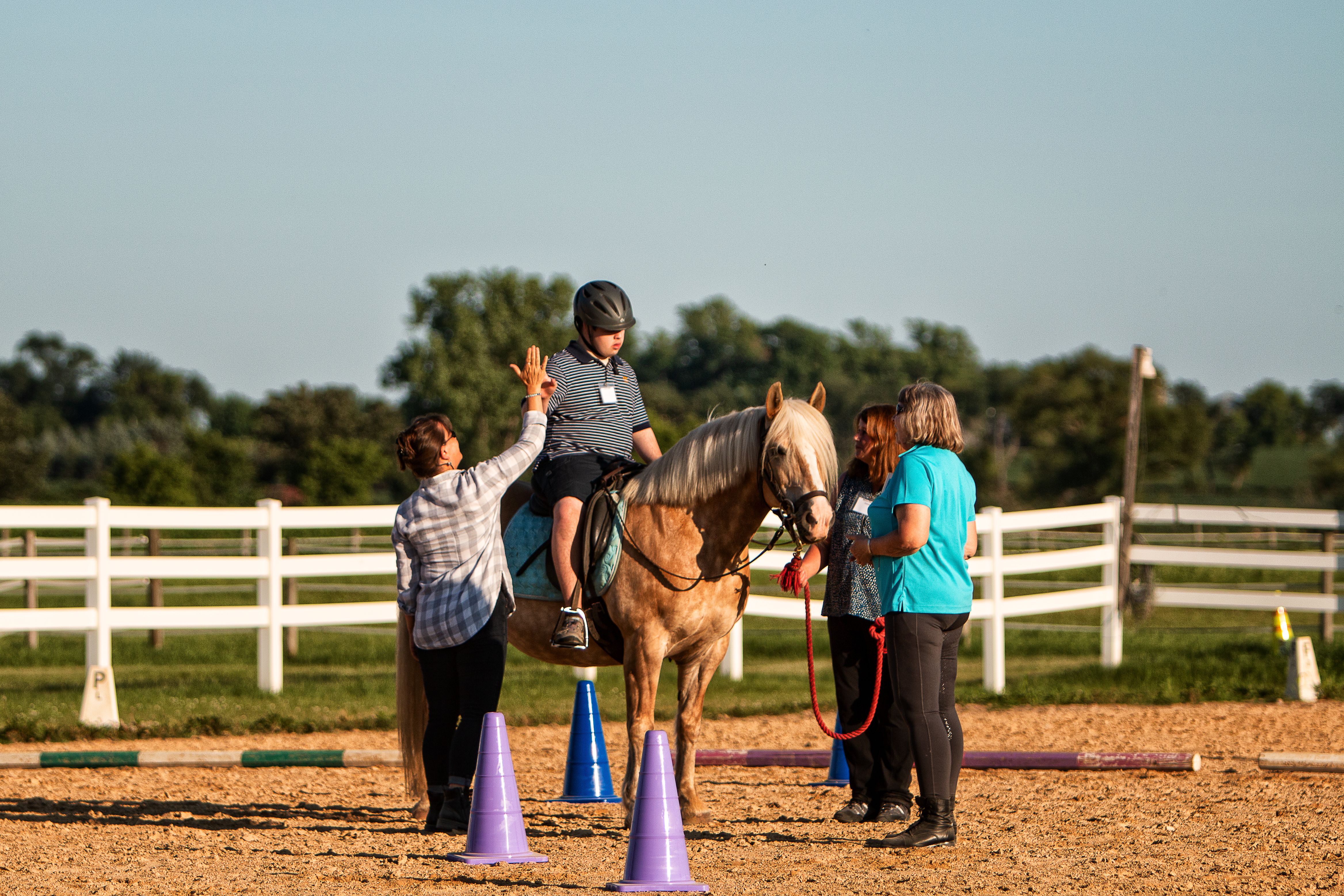 Three Gaits, Inc.
