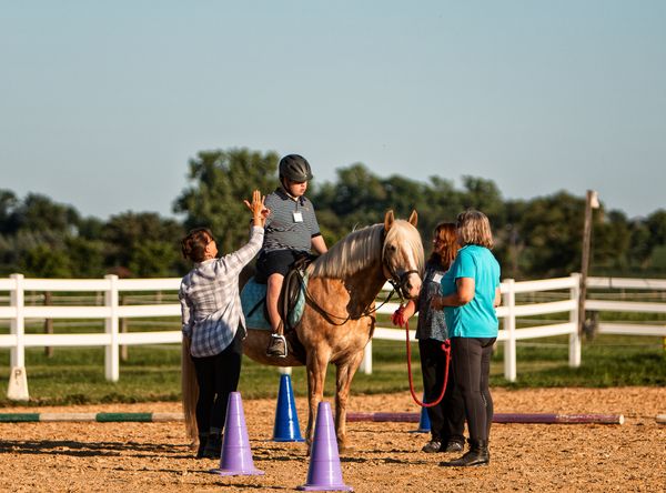 Three Gaits, Inc.