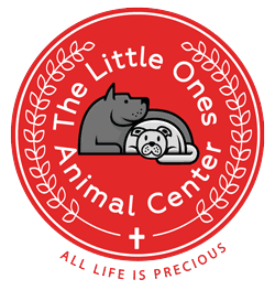 The Little Ones Animal Center