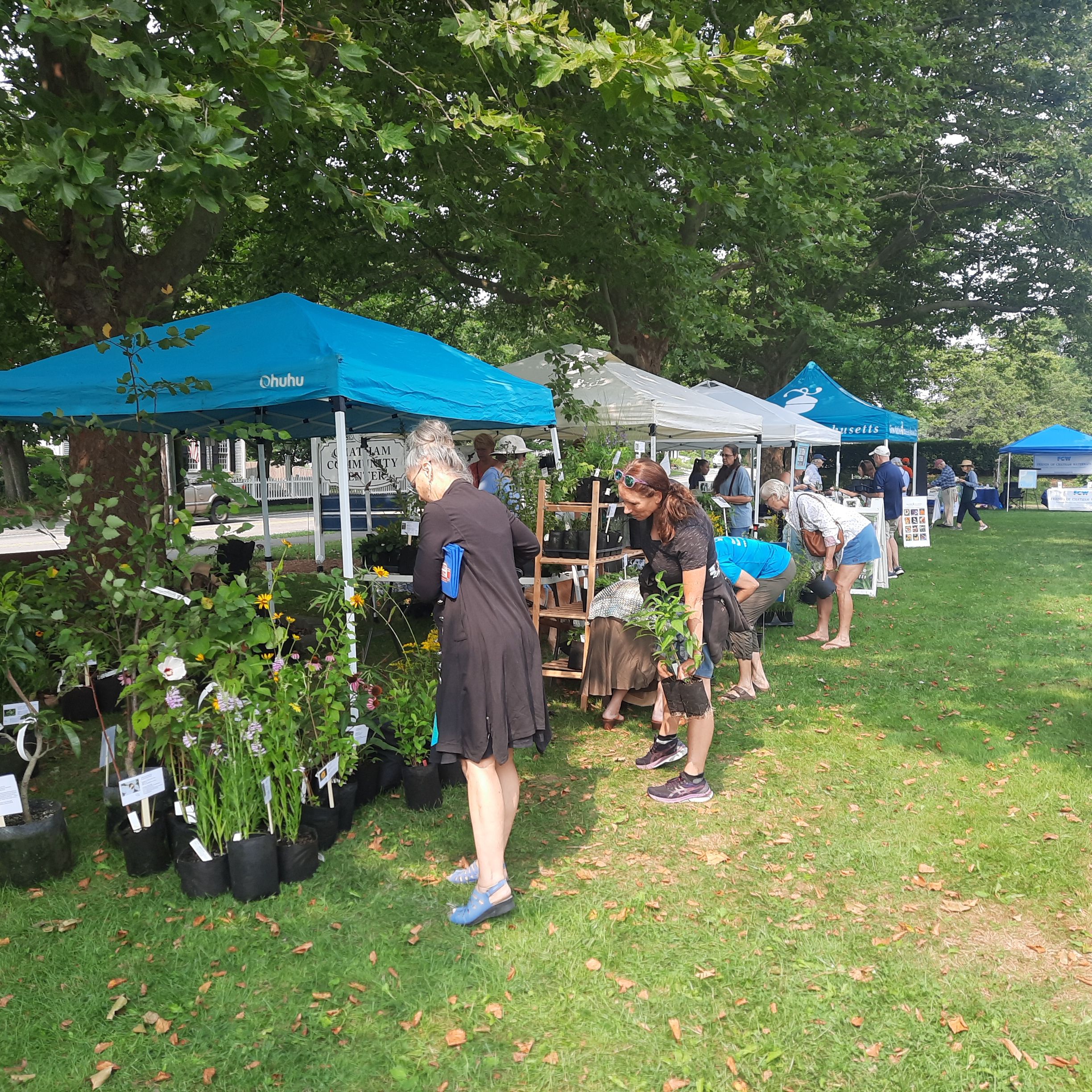 Grow Native Massachusetts Inc