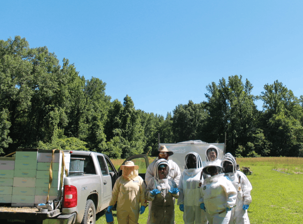 Thistle and Bee Enterprises, Inc.