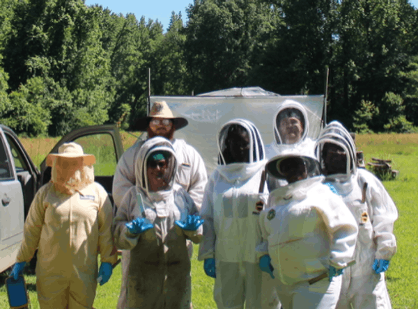 Thistle and Bee Enterprises, Inc.
