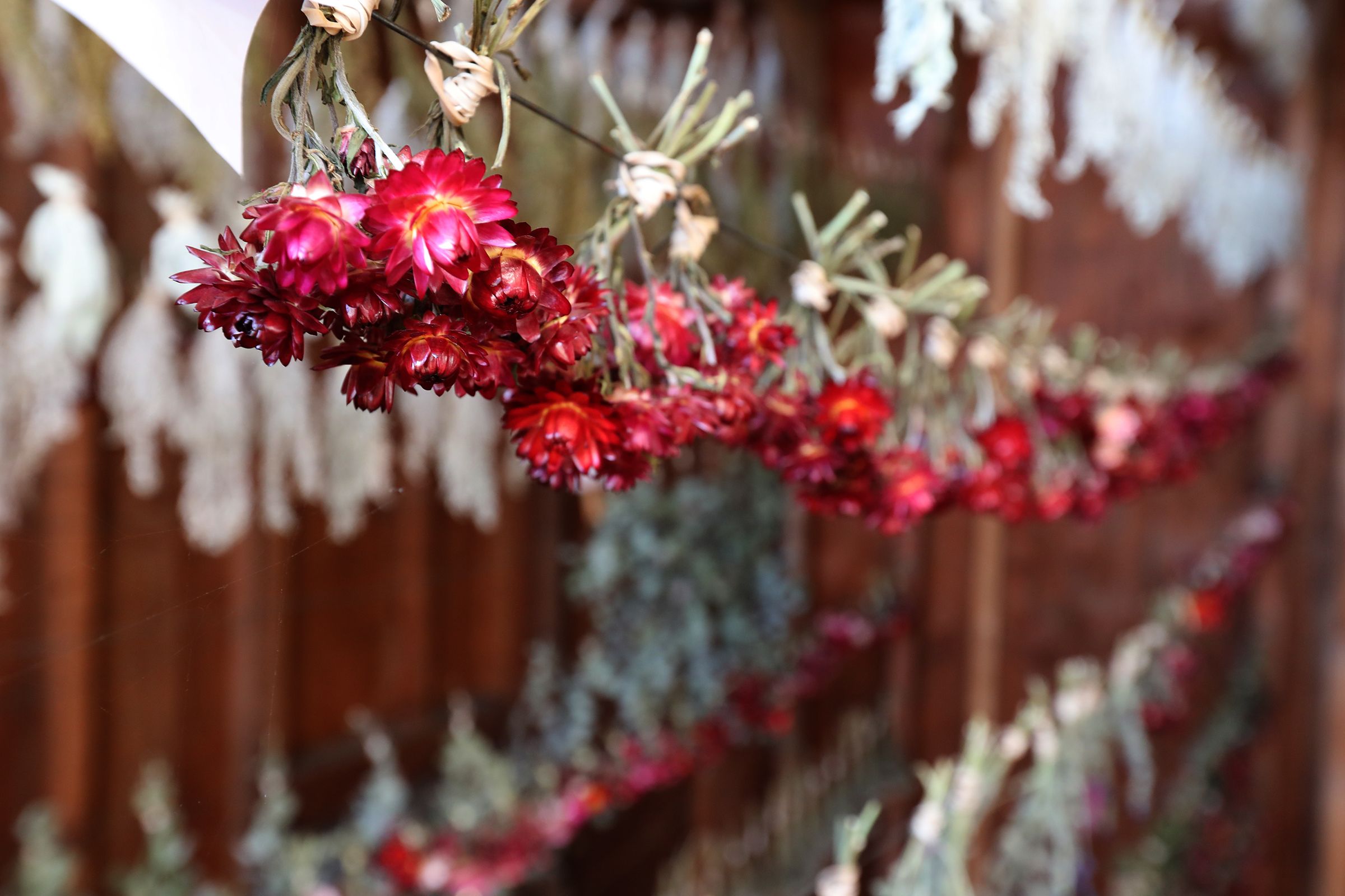 Homeless Garden Project