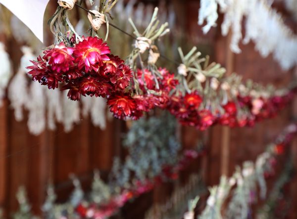 Homeless Garden Project