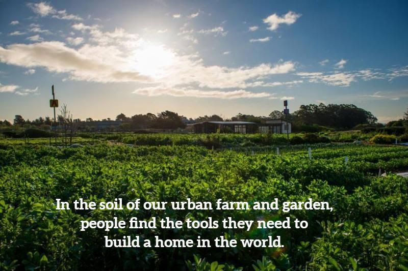 Homeless Garden Project