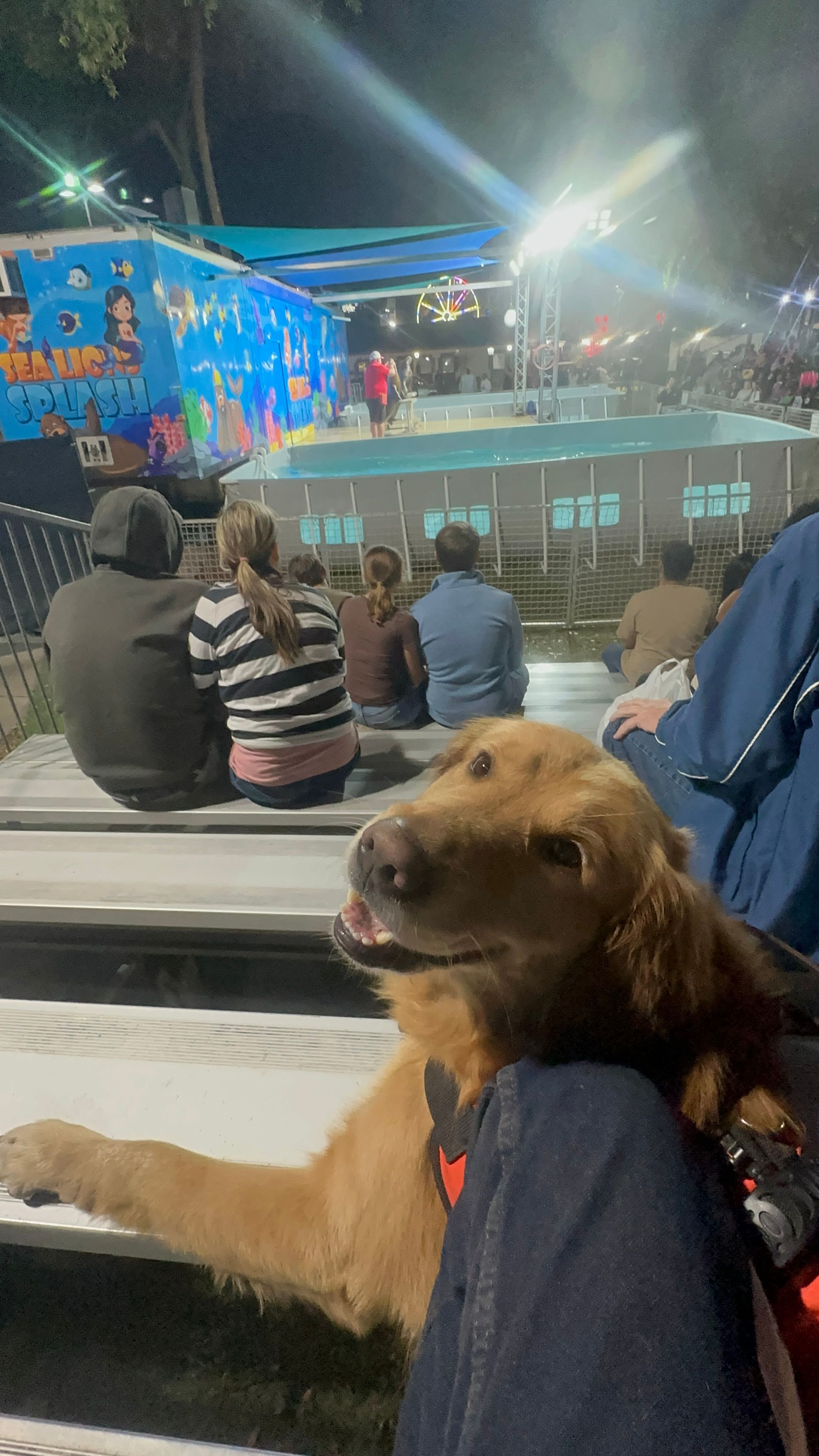 Florida Service Dogs, Inc.