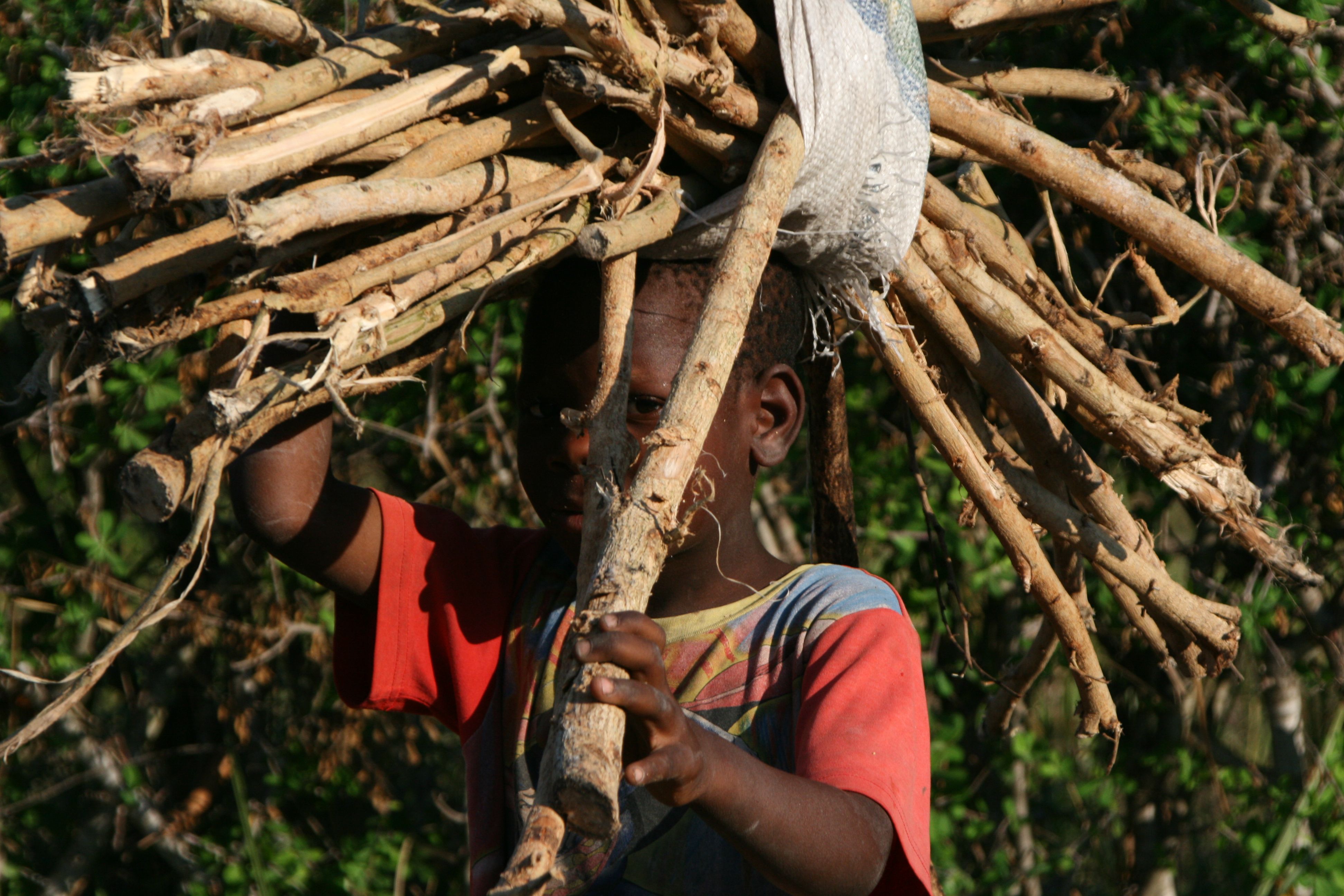 African Millenniun Foundation