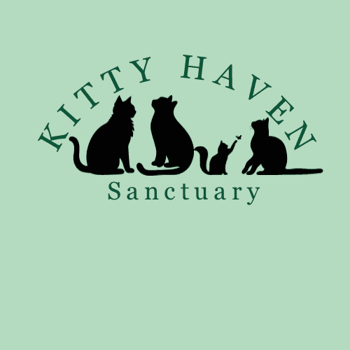 Kitty Haven Sanctuary - TFFS