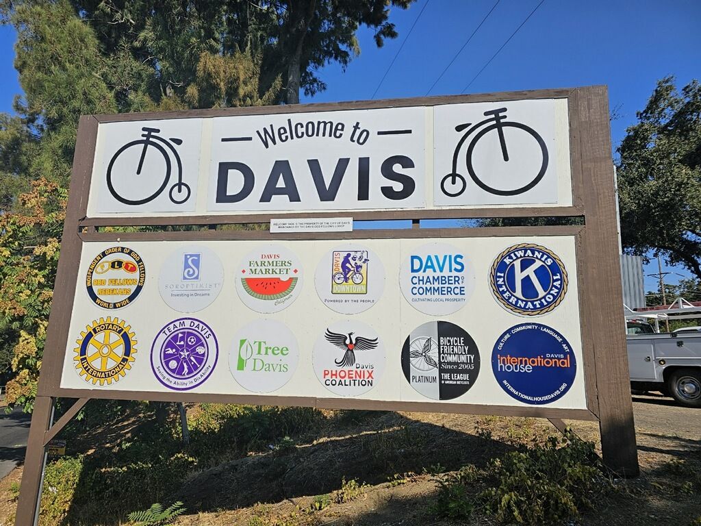 Team Davis Local Support Fund