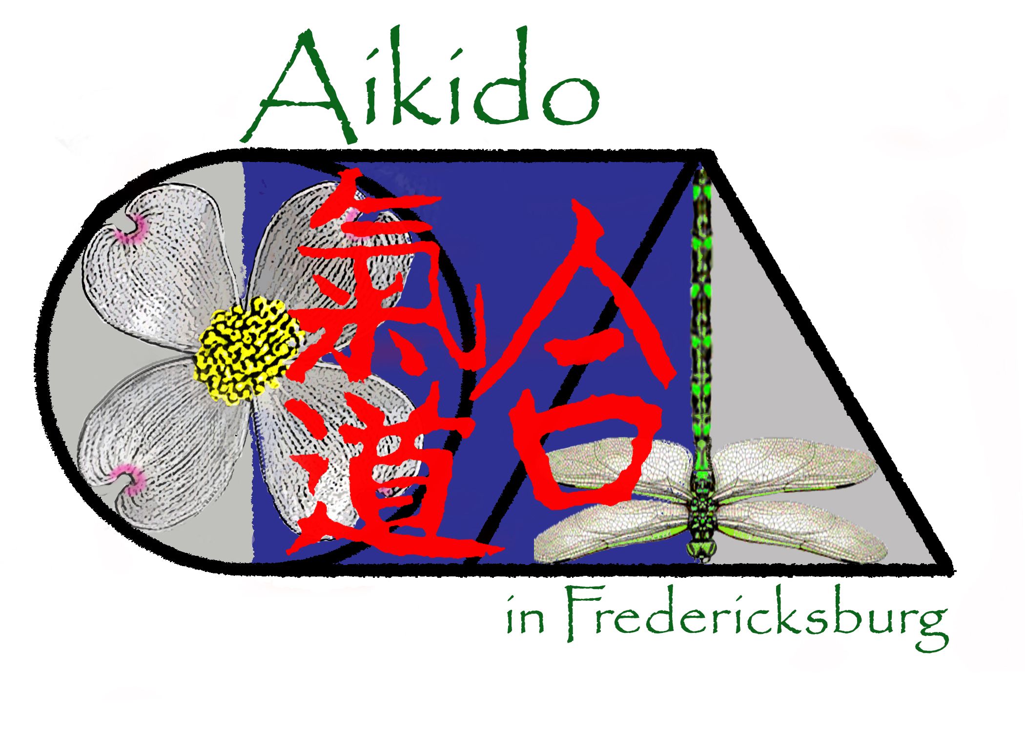 Aikido in Fredericksburg