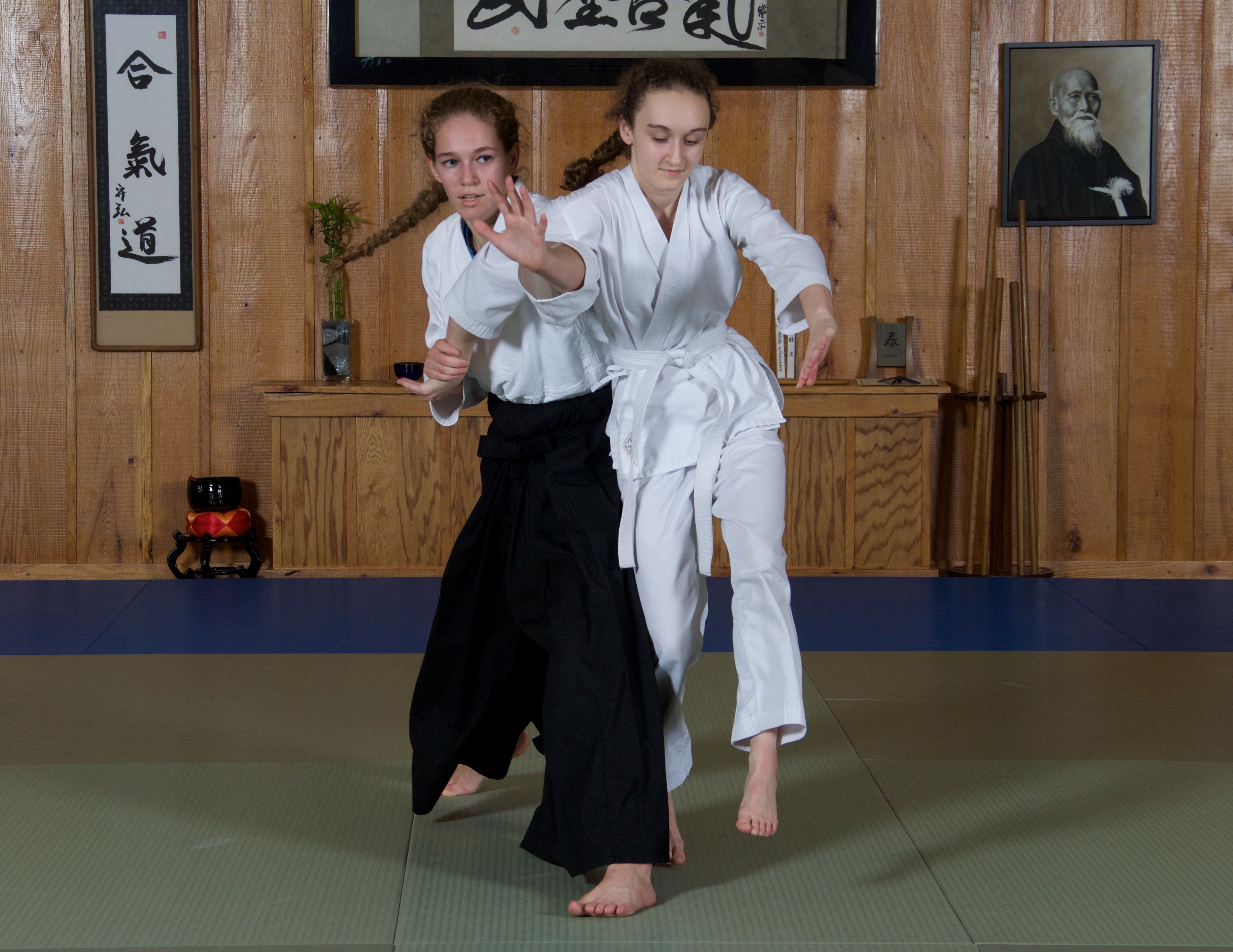 Aikido in Fredericksburg