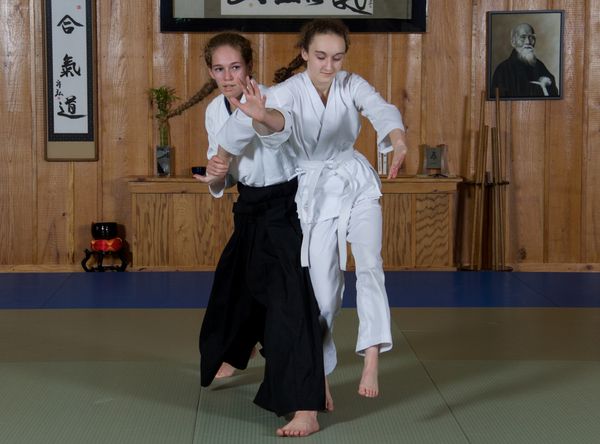 Aikido in Fredericksburg