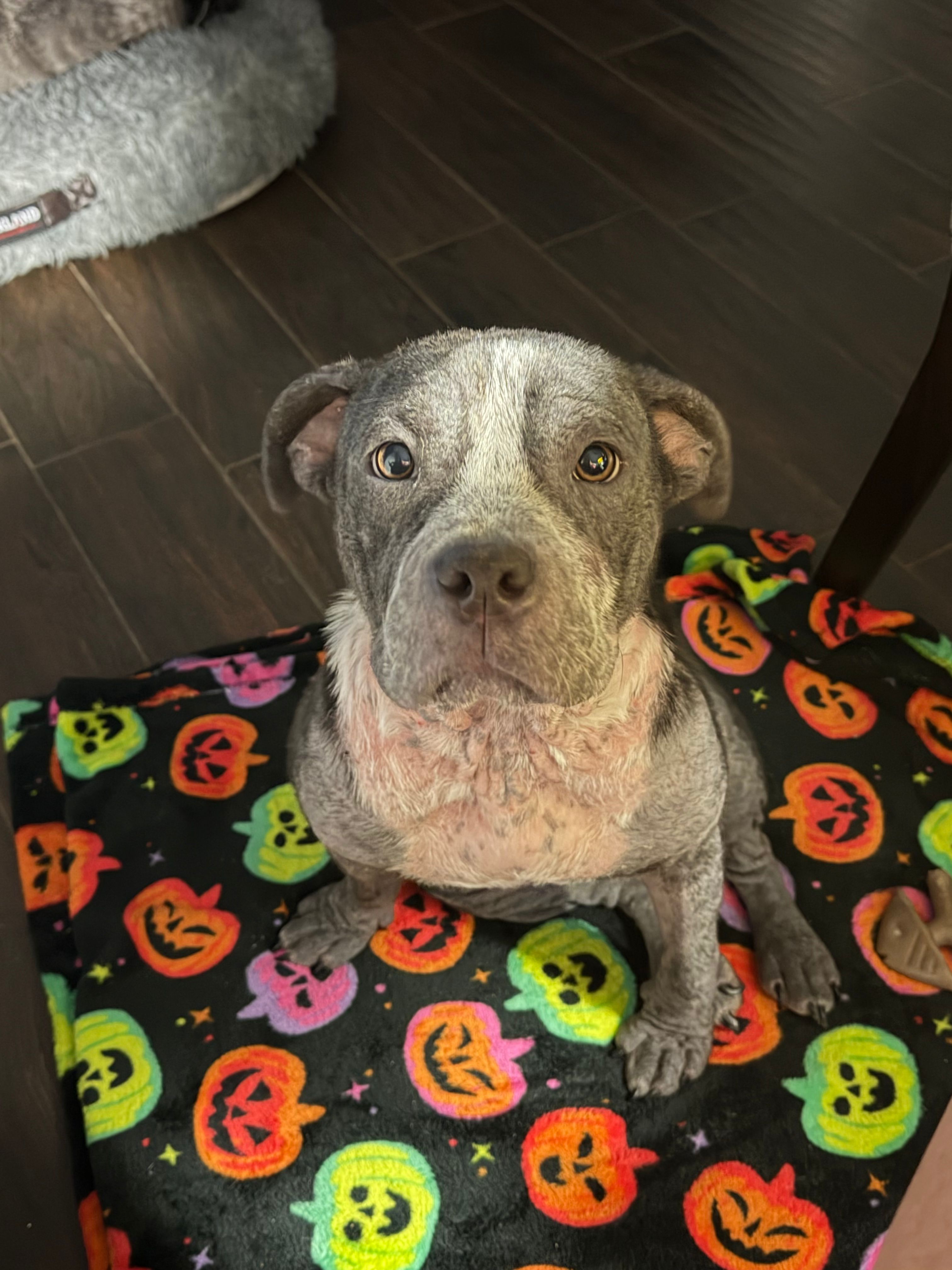Myrandas Mended Souls Rescue