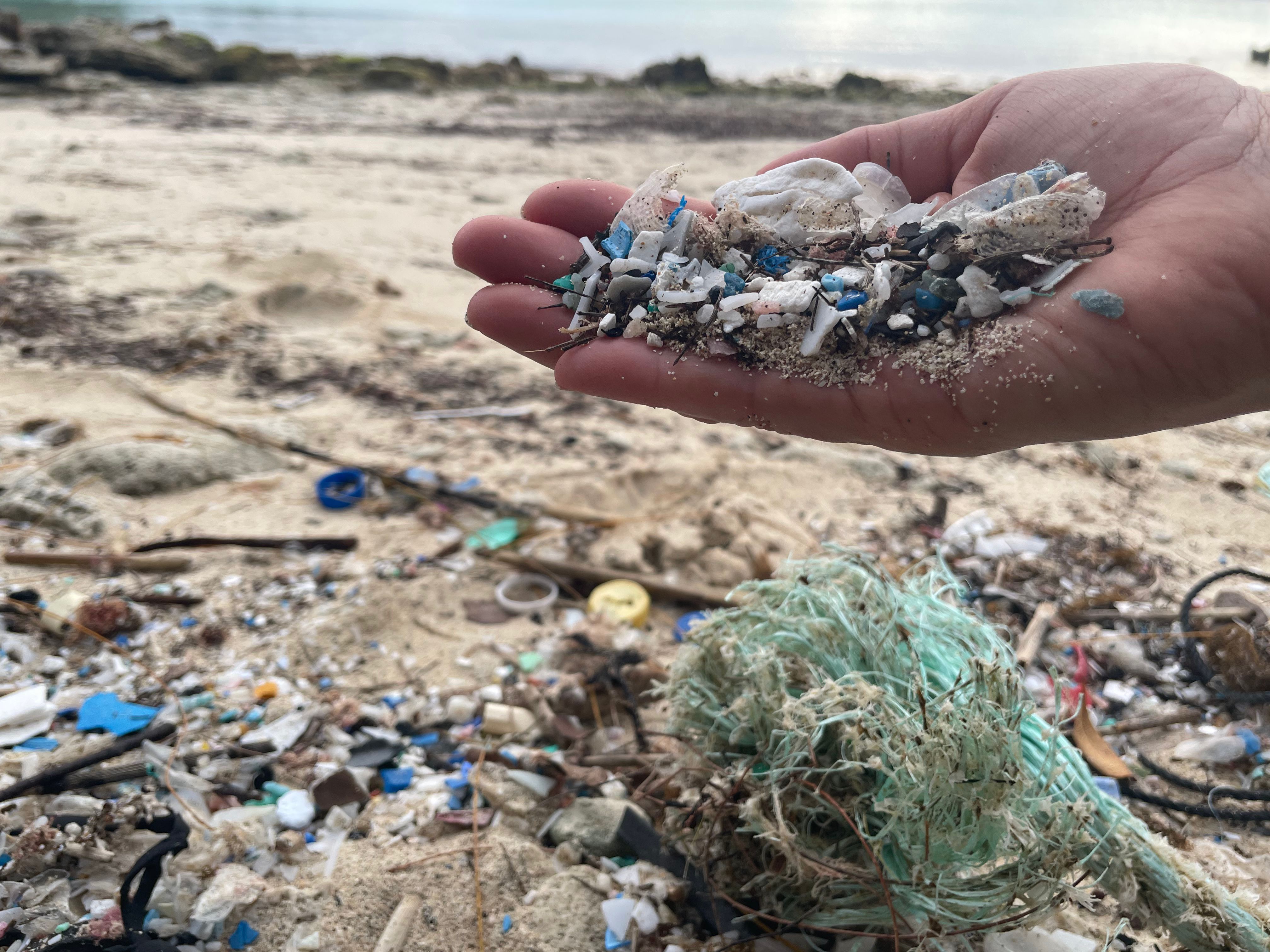 Plastic Ocean Project, Inc.