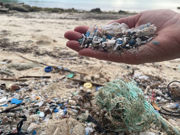 Plastic Ocean Project, Inc.