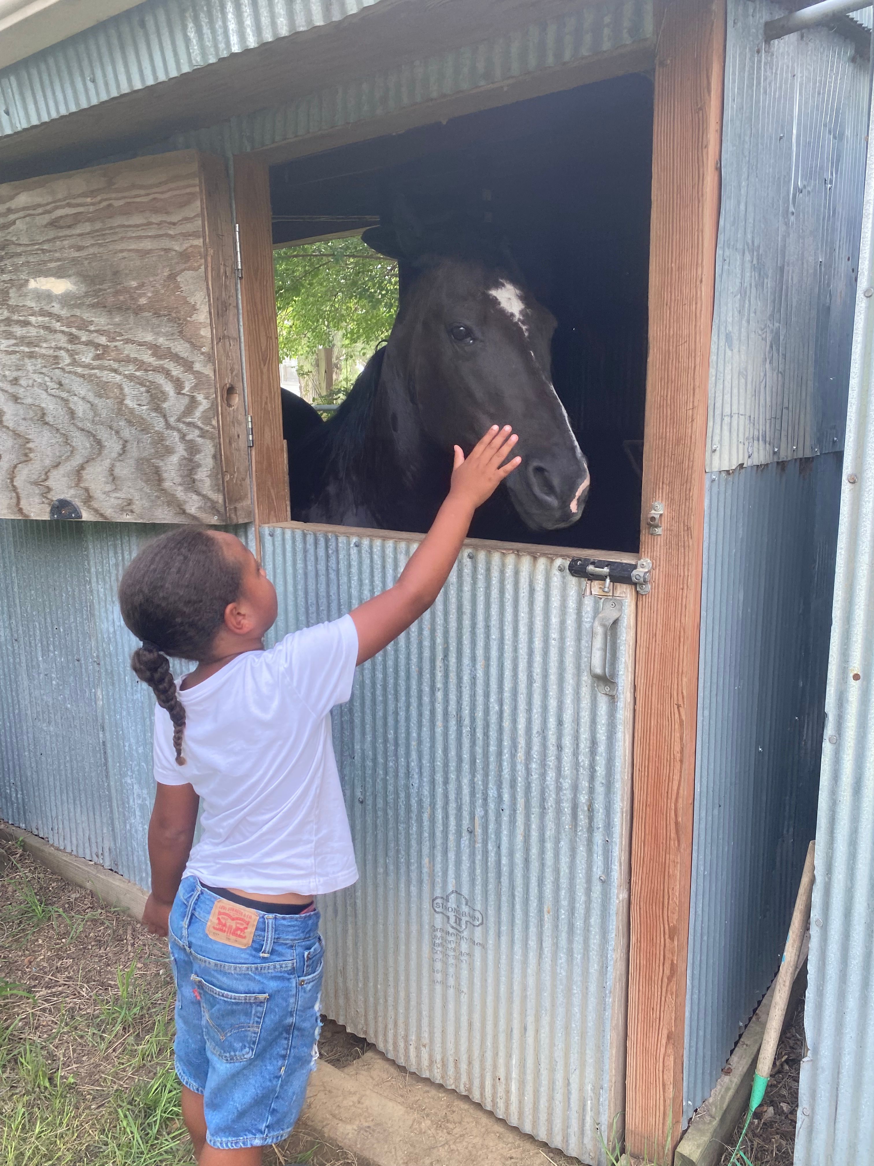 Urban Acres Horse Rescue