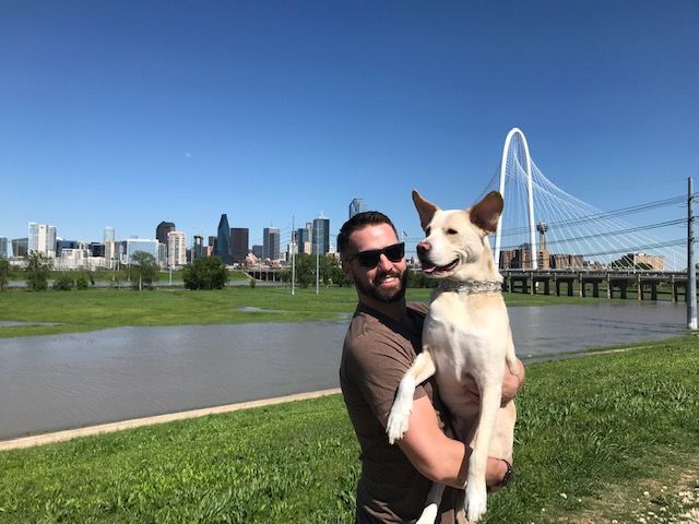 Save a Dogslife (Dogslife)