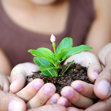 Adult & Child Counseling Services, Inc