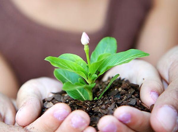 Adult & Child Counseling Services, Inc
