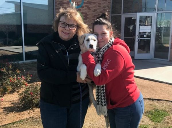 Helping Every Animal Rescue and Transport of Texas