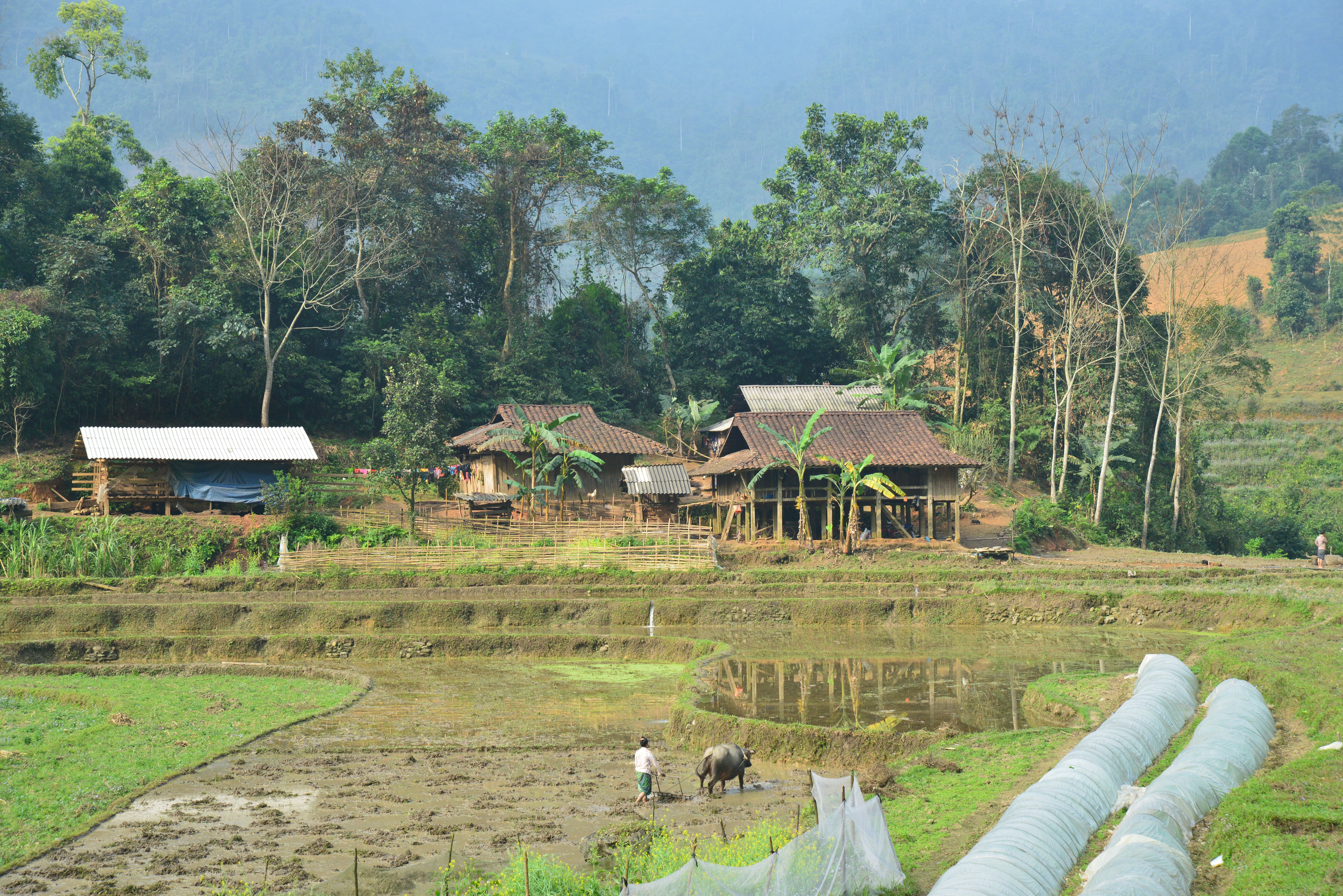 People Resources and Conservation Foundation