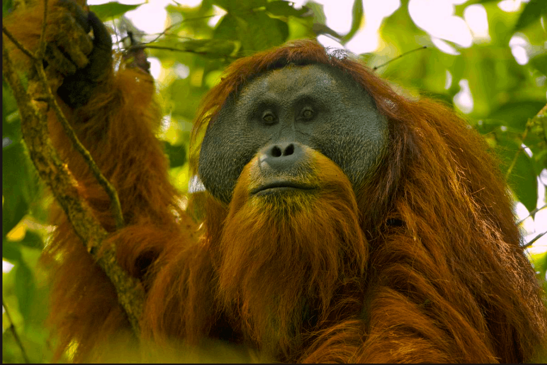 People Resources and Conservation Foundation