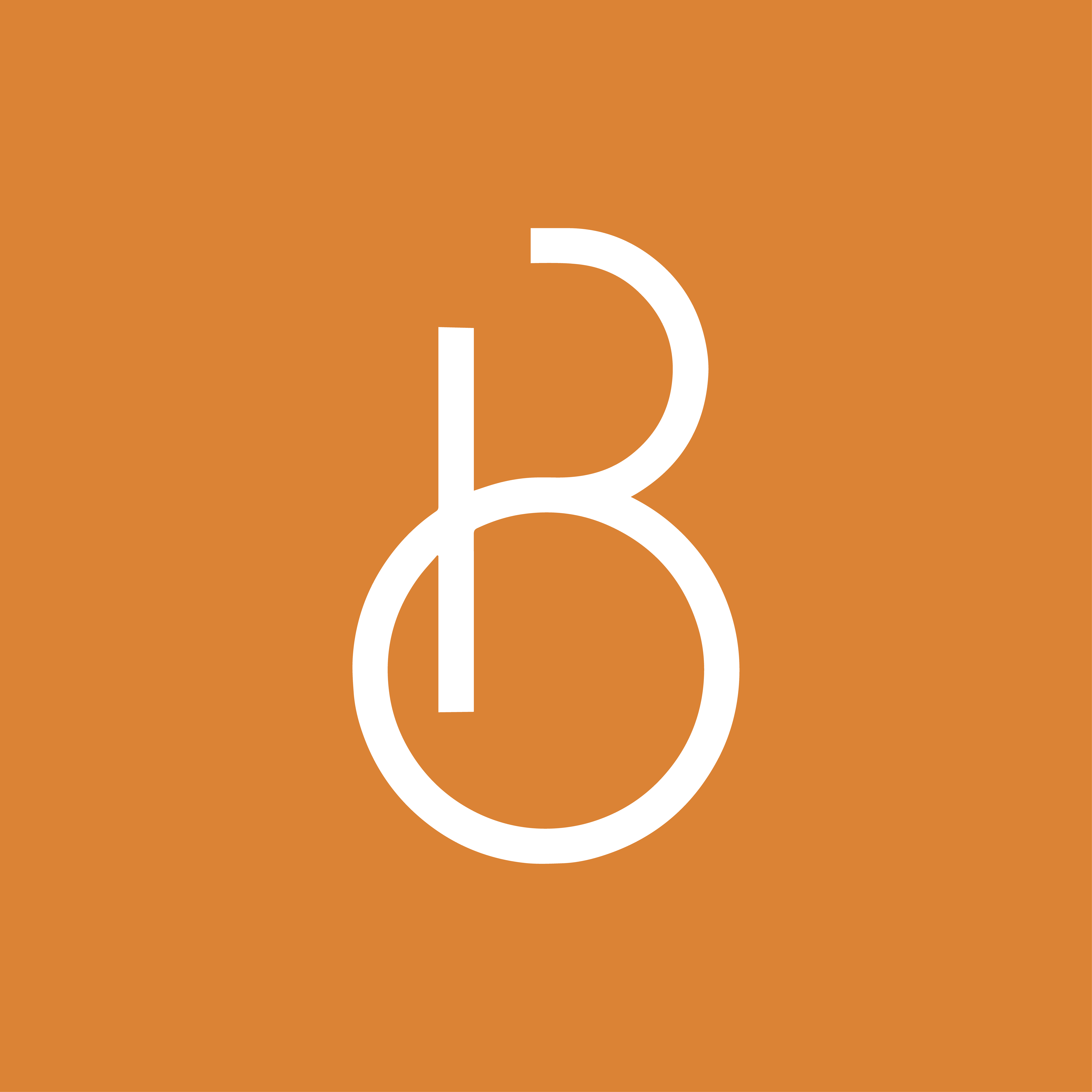 Binghamton Philharmonic Inc