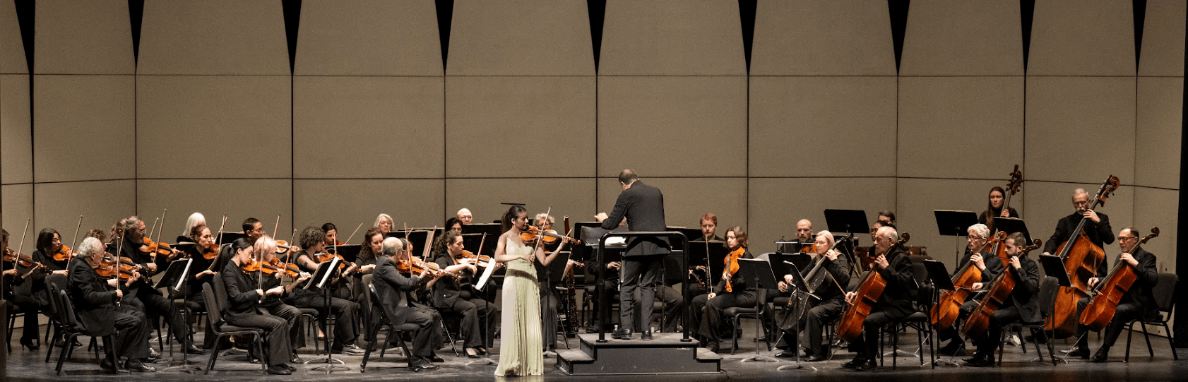 Binghamton Philharmonic Inc