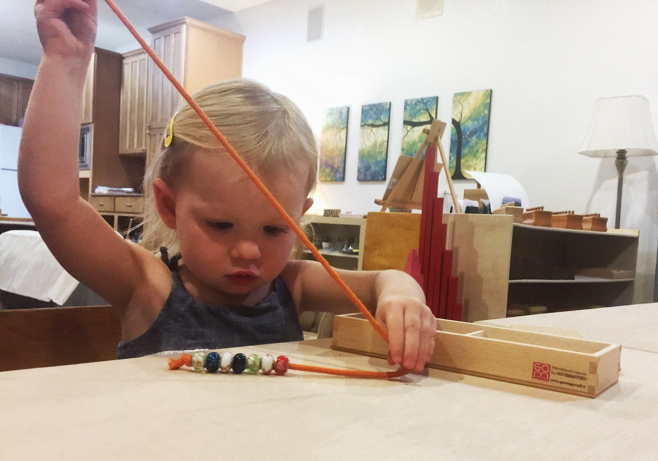 Salado Montessori, Inc