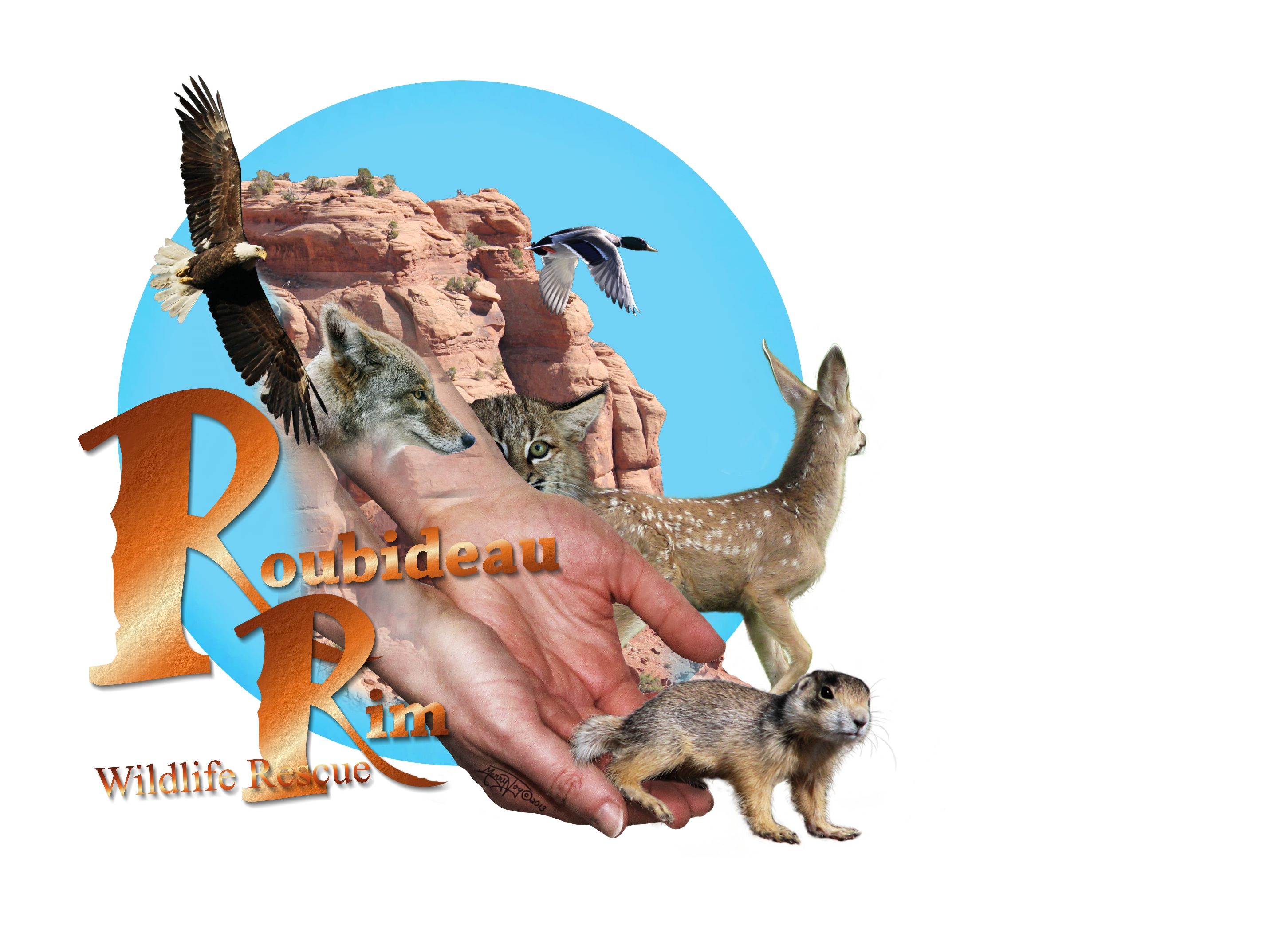 Roubideau Rim Wildlife Rescue
