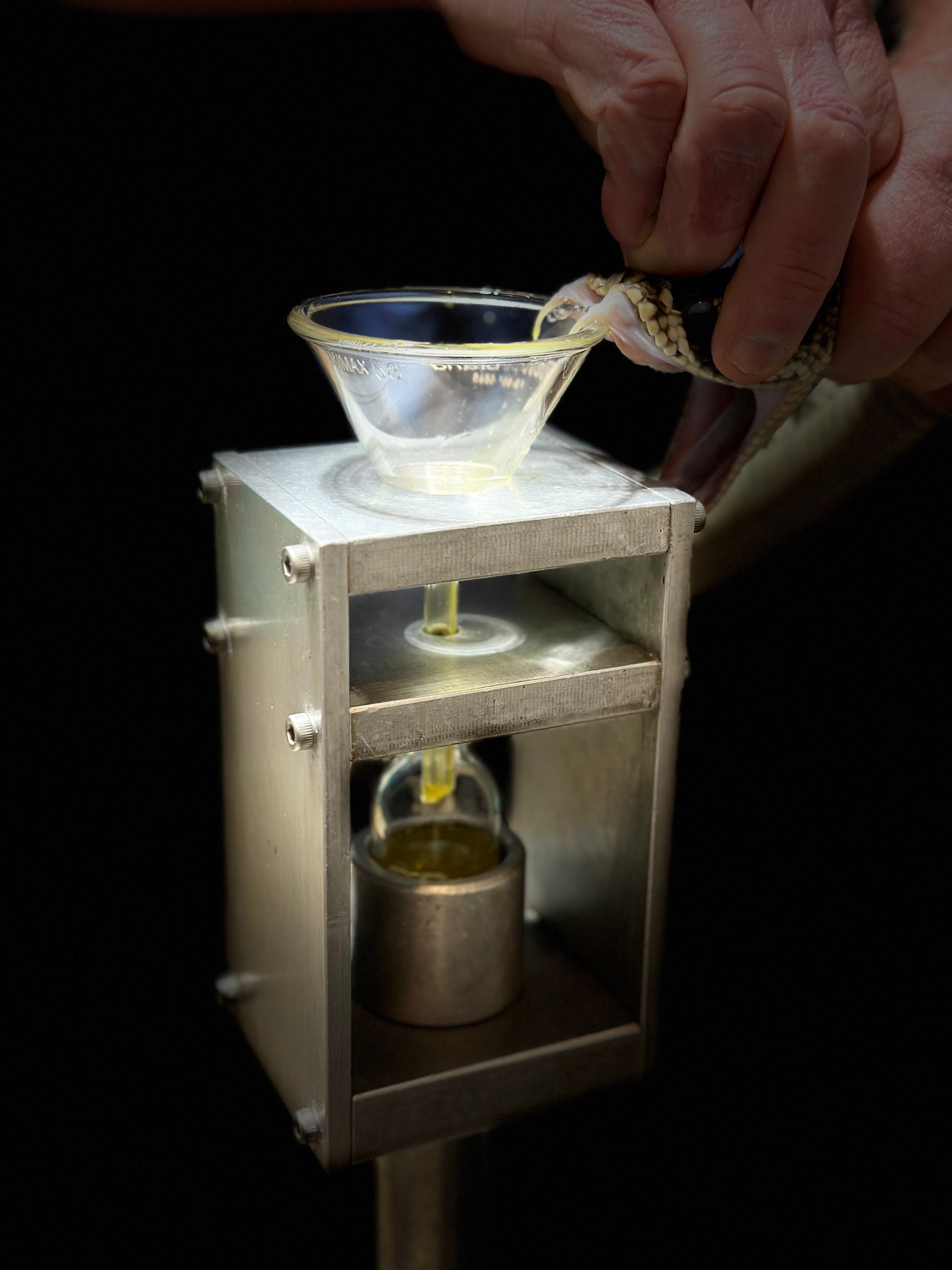 Kentucky Reptile Zoo