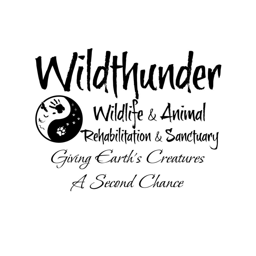 Wildthunder Wildlife Animal Rehab