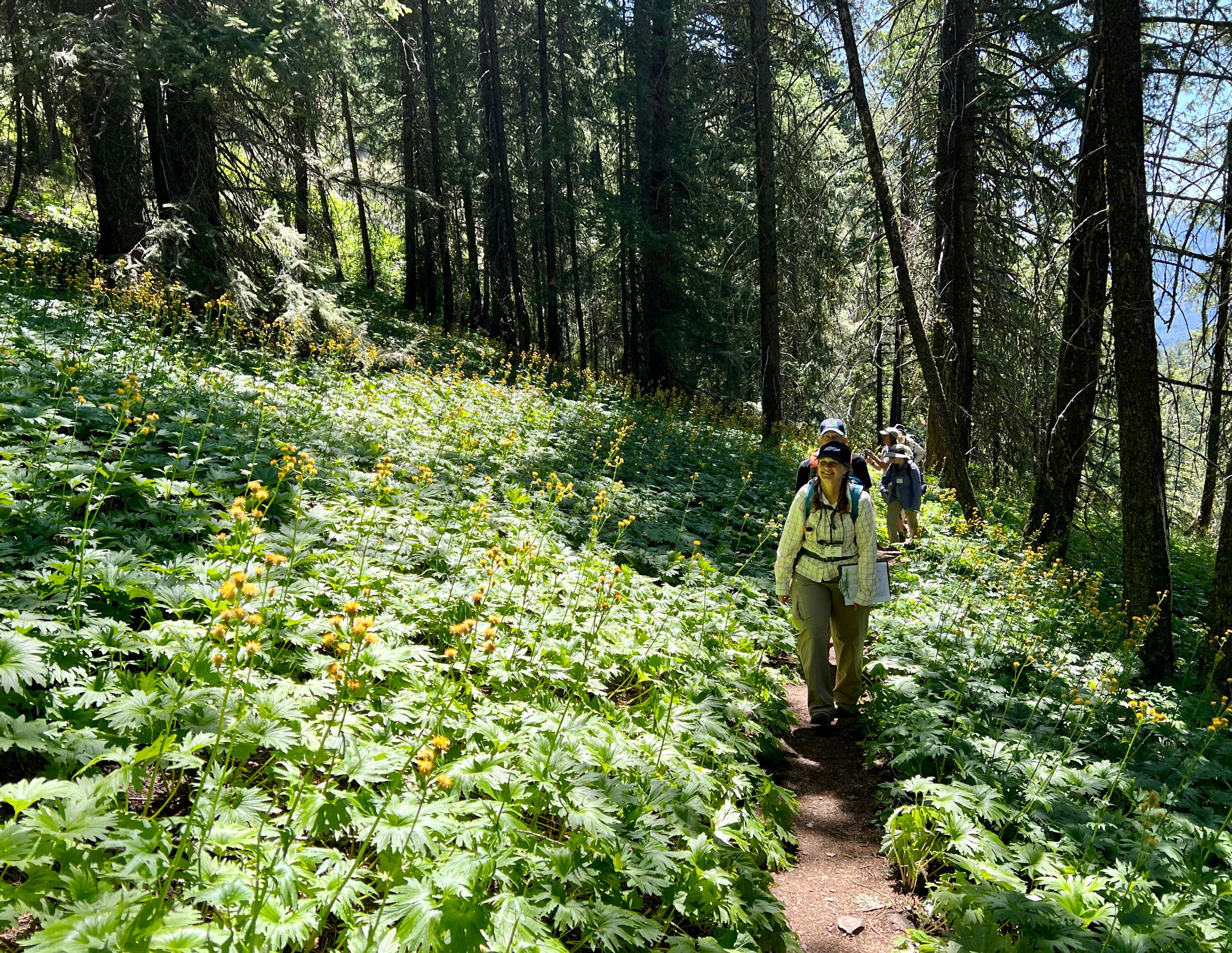 Washington Native Plant Society