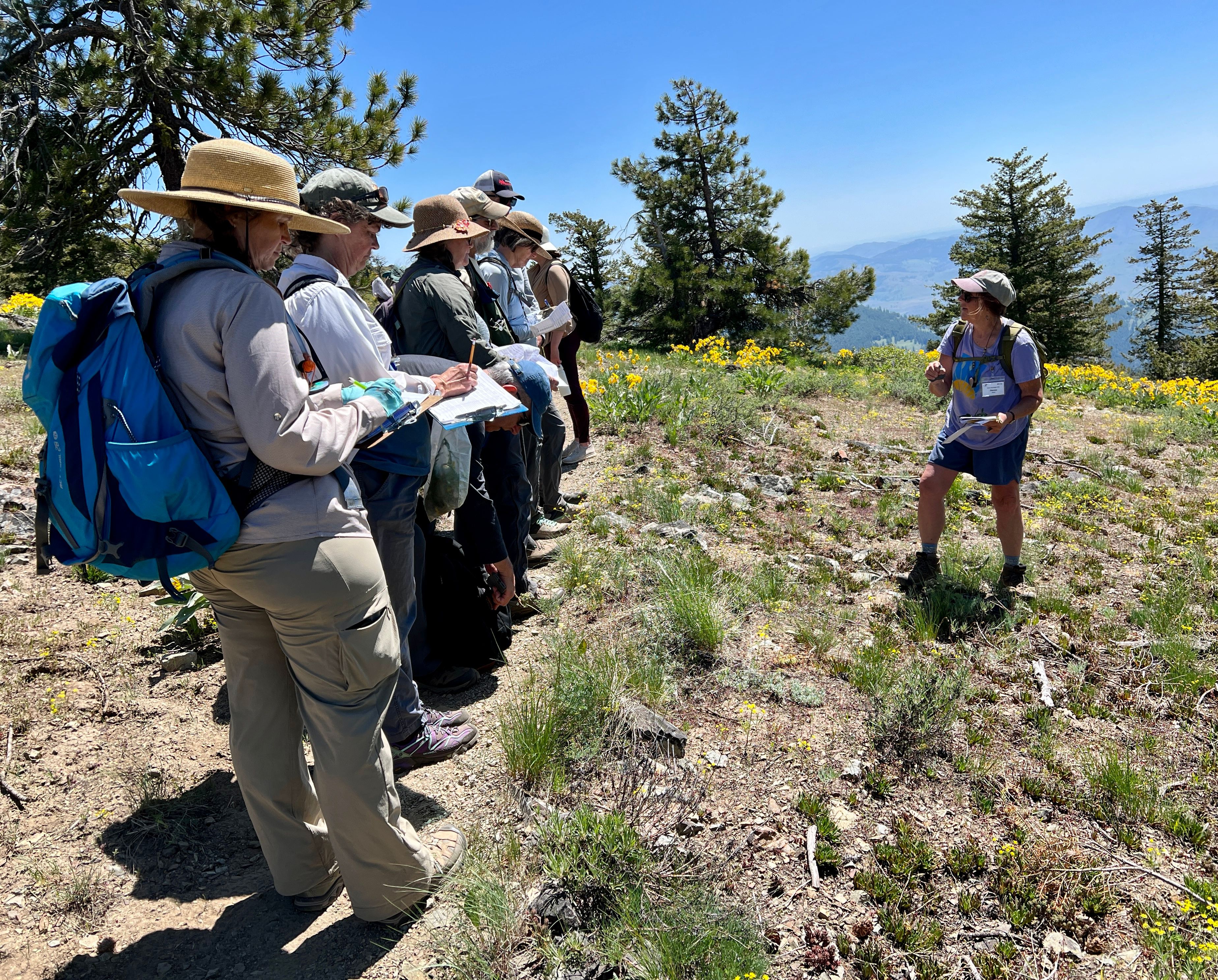 Washington Native Plant Society