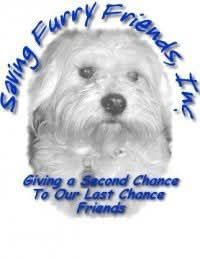 Saving Furry Friends