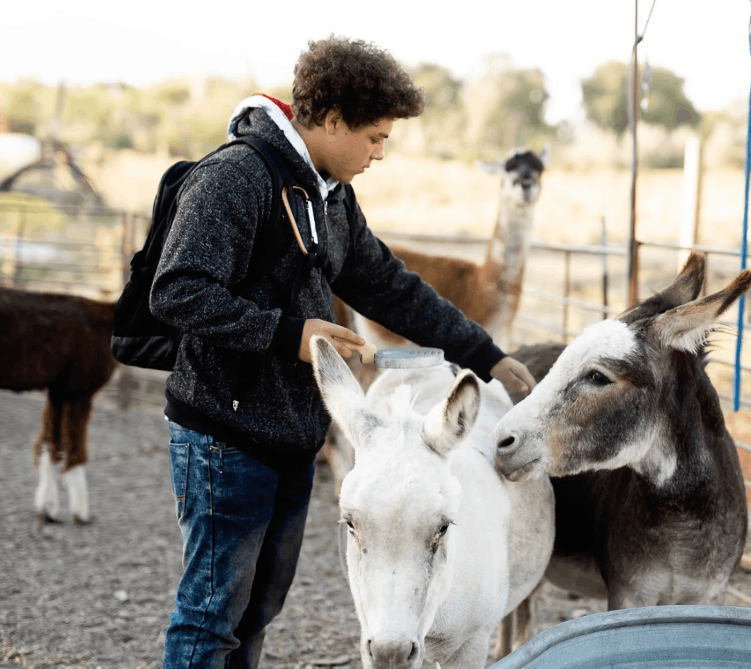 Roots Charter High School