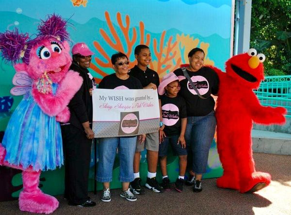 Shay Sharpe's Pink Wishes Inc.