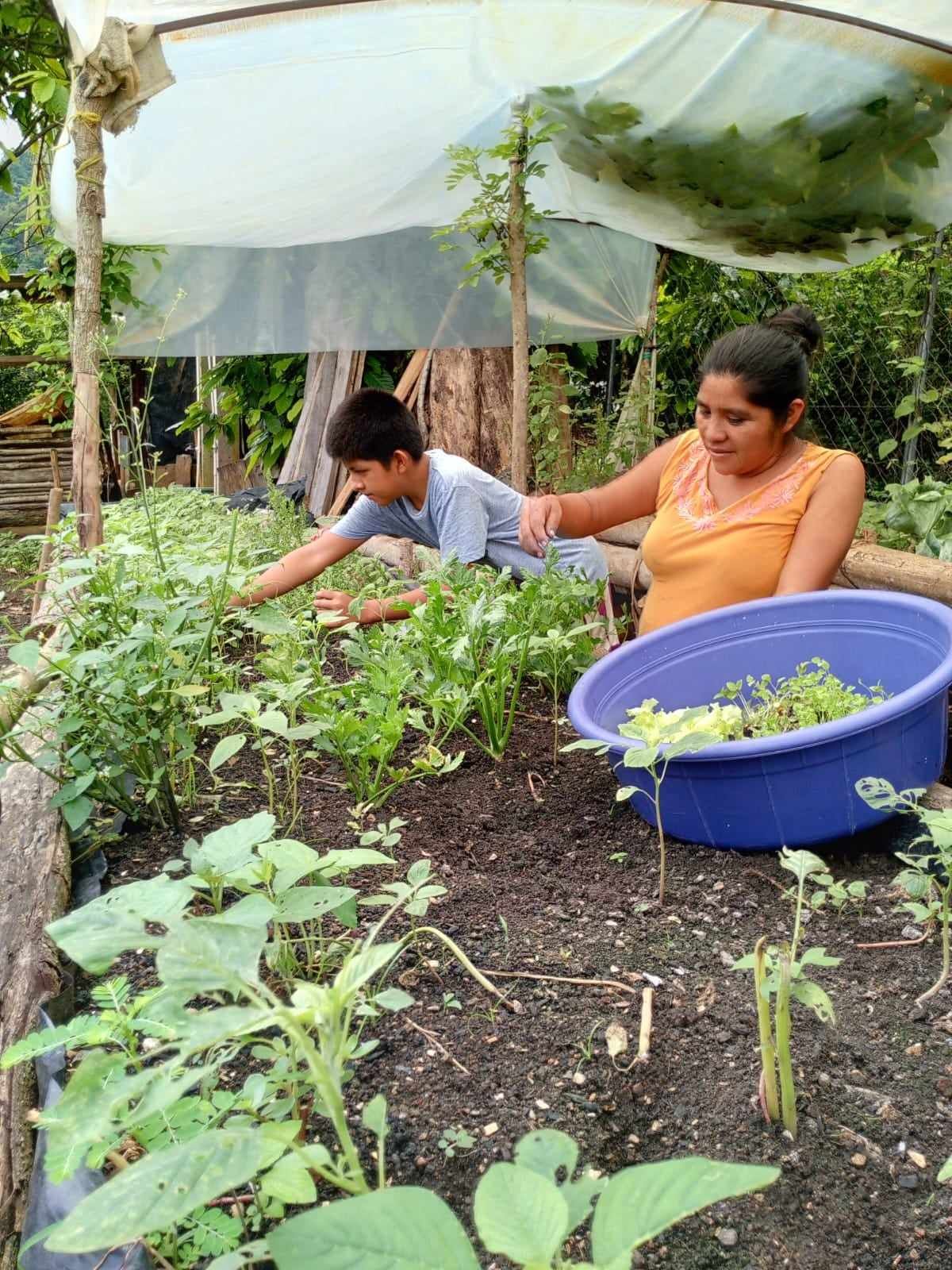 Sowing Opportunities, Inc.