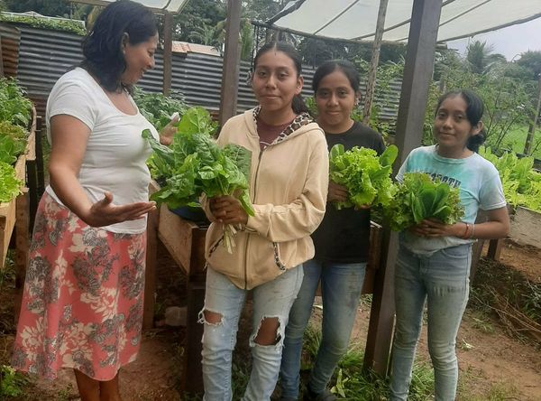 Sowing Opportunities, Inc.