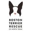 Boston Terrier Rescue of North Texas