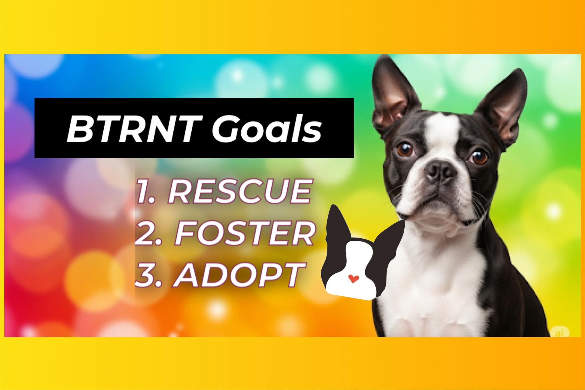 Boston Terrier Rescue of North Texas