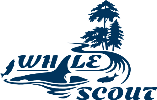 Whale Scout