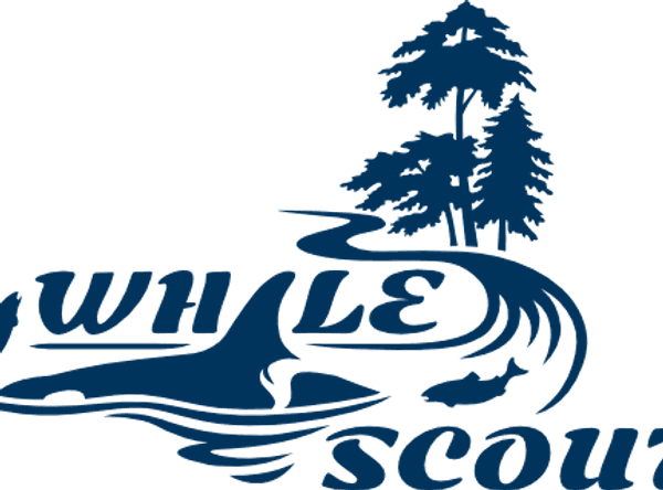 Whale Scout